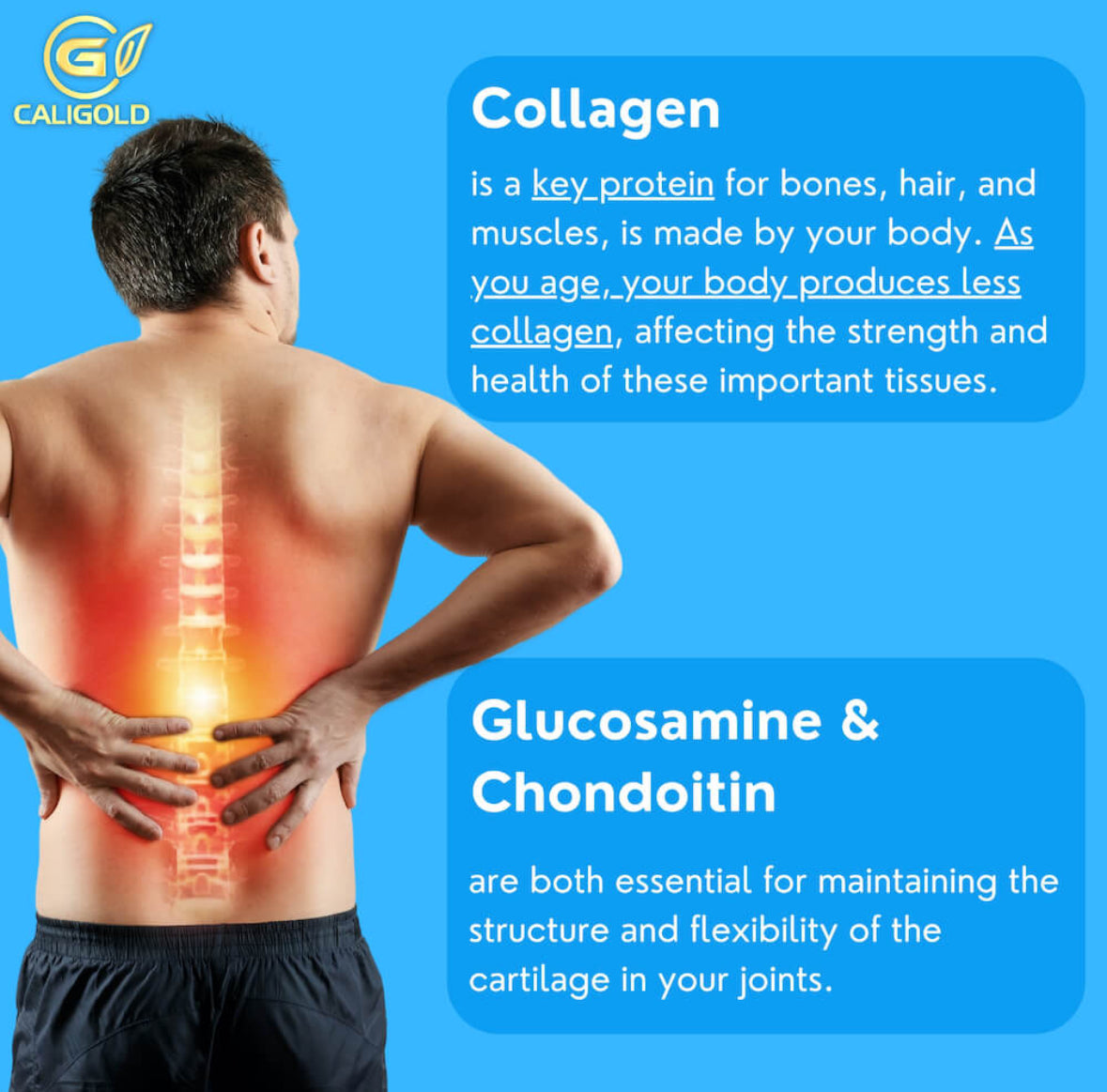 CALIGOLD SUPER JOINT ELIXIR