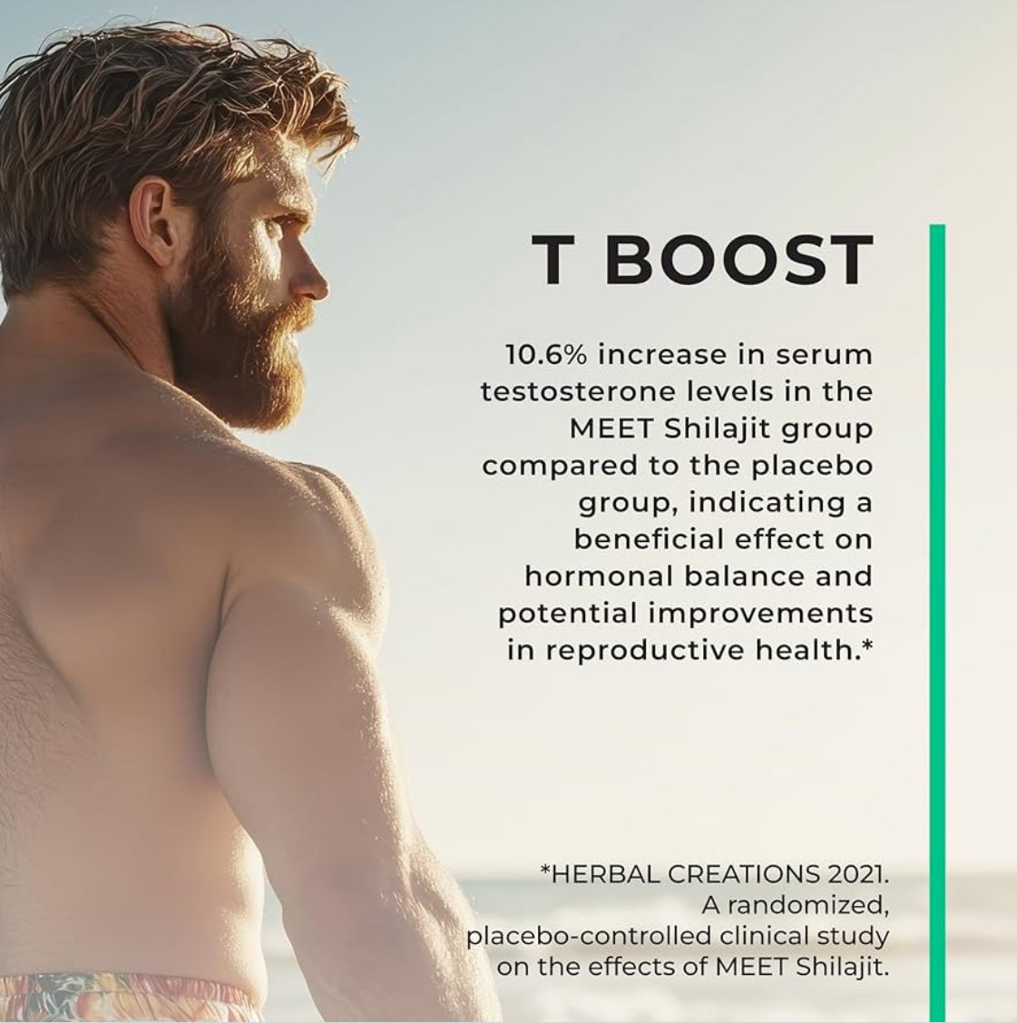 High Strength Shilajit Capsules, 60 x 600mg from 42,000mg Shilajit Resin, 2 Month Supply, 70:1 Extract, 60% Fulvic Acid, Pure Shilajit (Filler Free) - Love Life Supplements